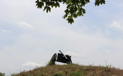 prikazki-ot-balkanite-8_250x154_crop_478b24840a