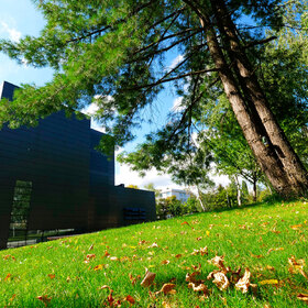 1922252_280x280_crop_478b24840a