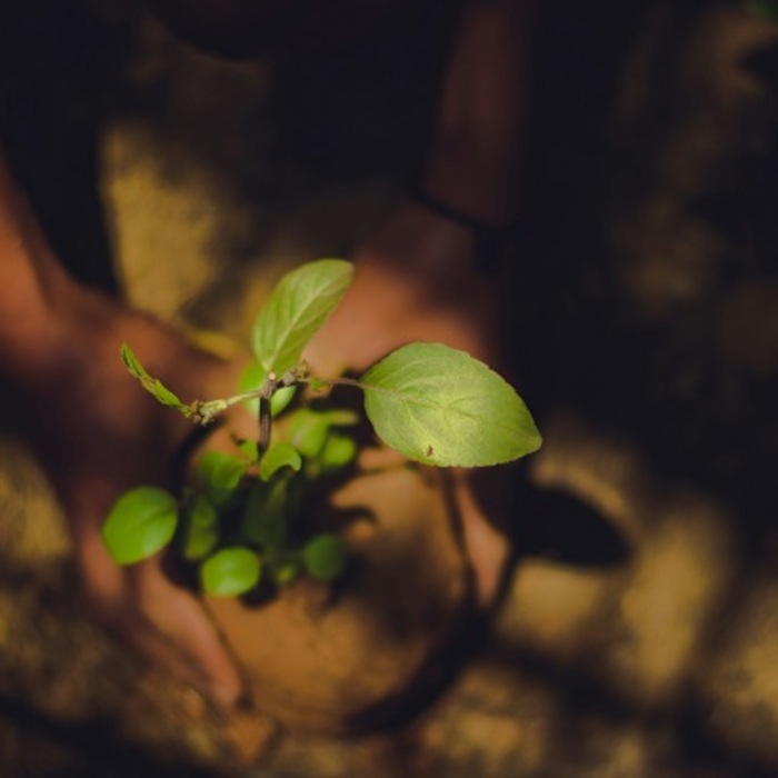 kasturi-laxmi-mohit-uv6l-uo-nd19w-unsplash_700x700_crop_478b24840a