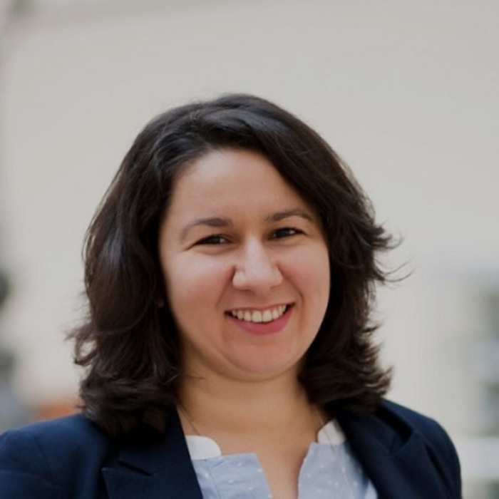 015-diana-kulchizkaia-digitalni-istorii_700x700_crop_478b24840a