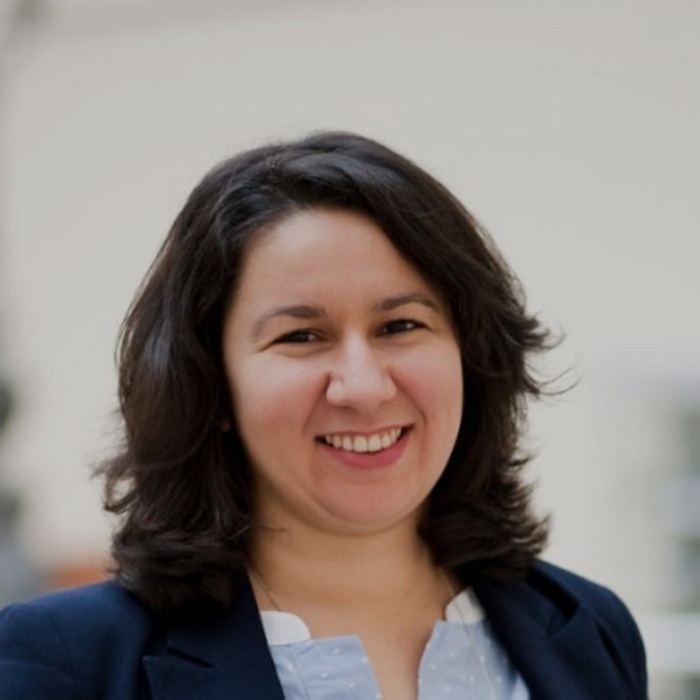 015-diana-kulchizkaia-digitalni-istorii_700x700_crop_478b24840a