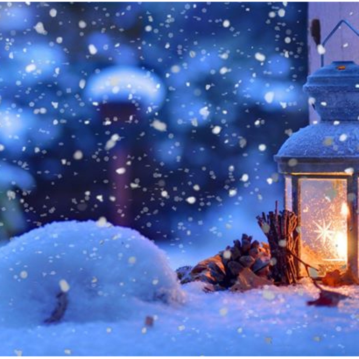 s-duh_700x700_crop_478b24840a