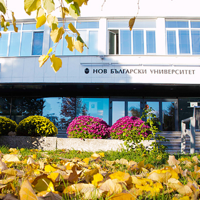 photo-26_700x700_crop_478b24840a