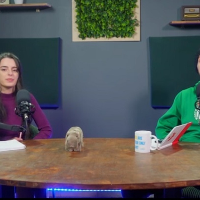 015_700x700_crop_478b24840a