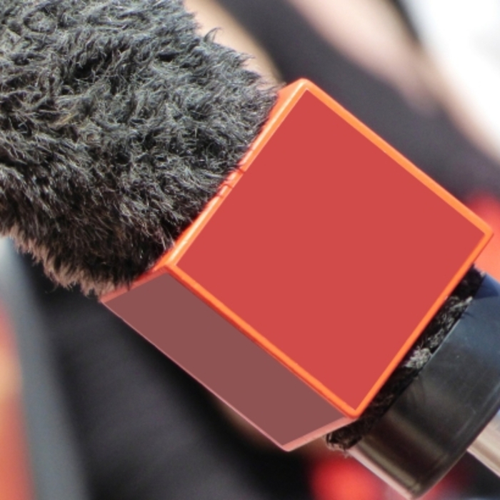 jurnalist-pixabay_700x700_crop_478b24840a