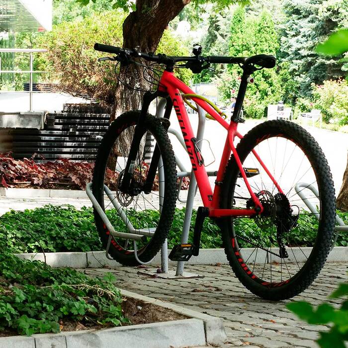 1377184_700x700_crop_478b24840a