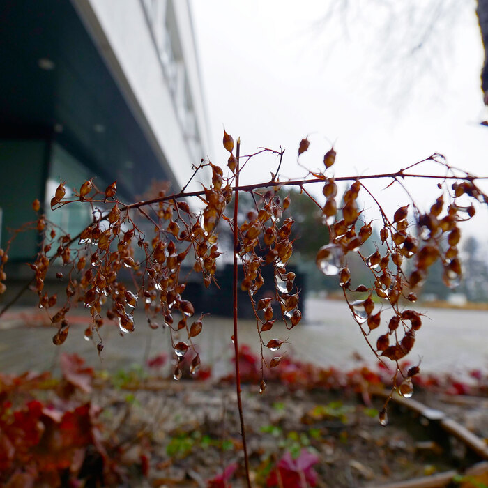 2088838_700x700_crop_478b24840a